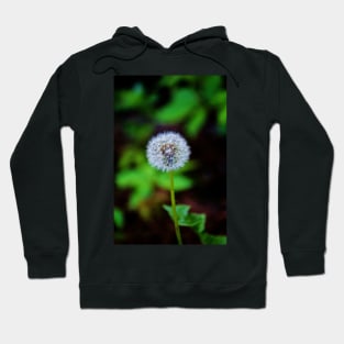 Dandelion Clock Hoodie